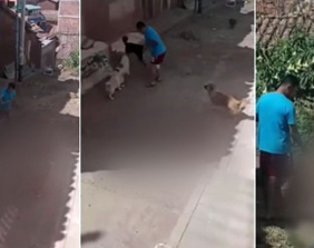 Captan a hombre maltratando a un perro pese a reclamo de sus vecinos