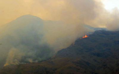  Despliegan brigadas para controlar incendio forestal en Limatambo y Mollepata 