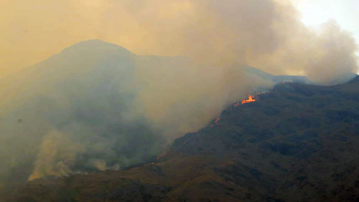  Despliegan brigadas para controlar incendio forestal en Limatambo y Mollepata 